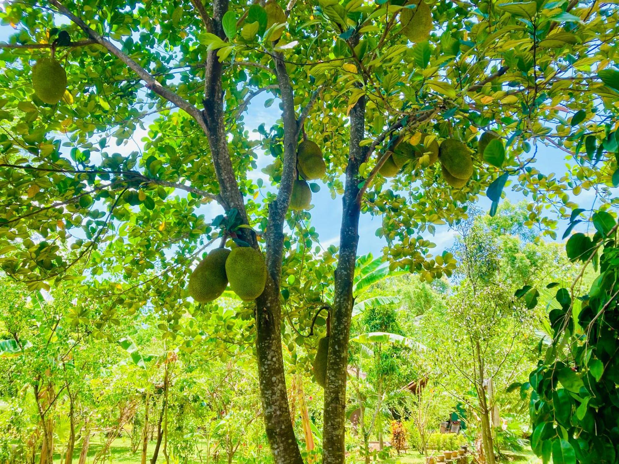 Suncity Privacy Cottages Удавалаве Экстерьер фото