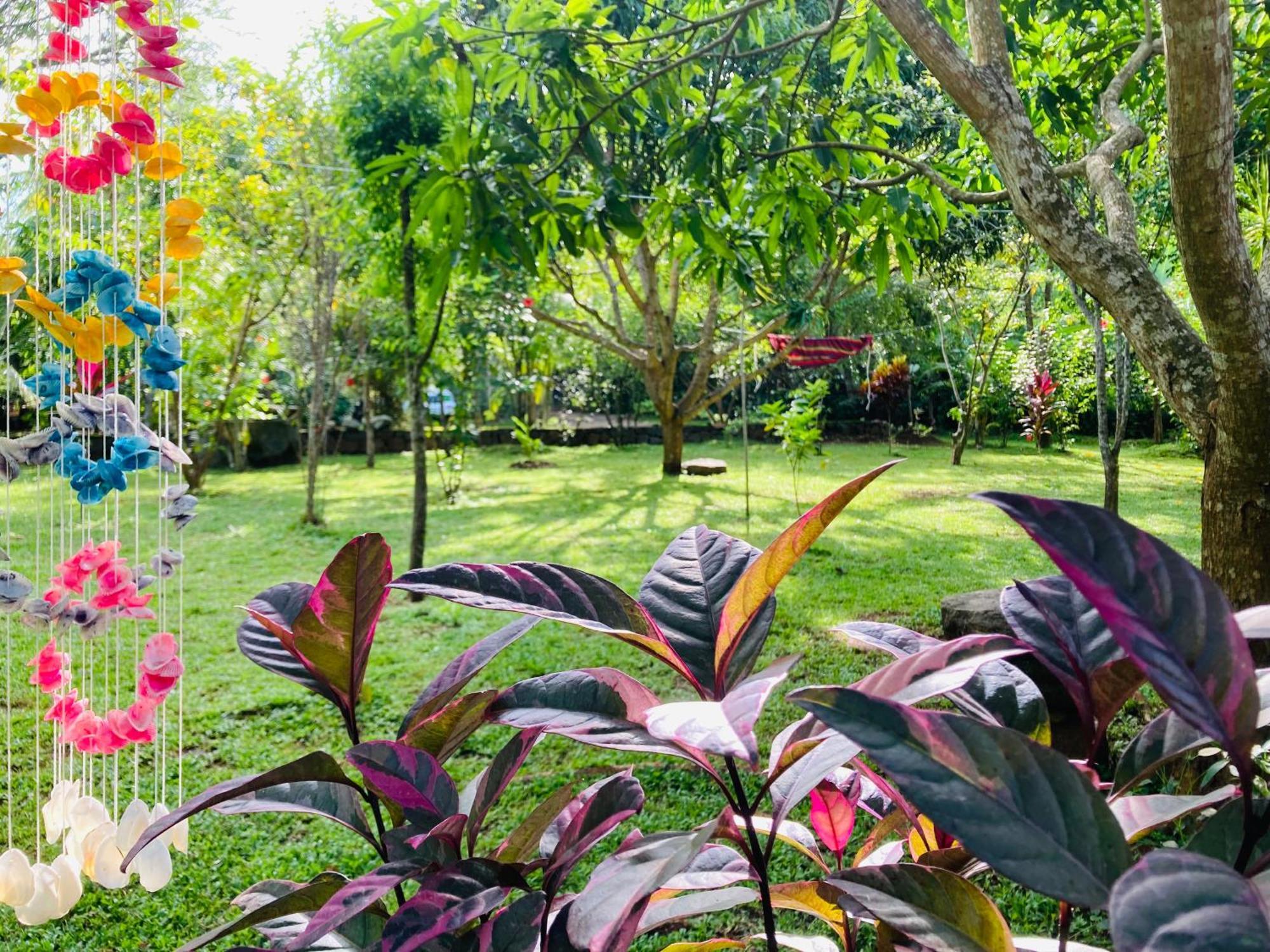 Suncity Privacy Cottages Удавалаве Экстерьер фото